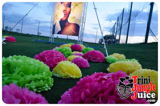 sugarcane_blossom_2014-045