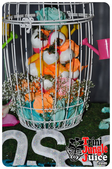 sugarcane_blossom_2014-056