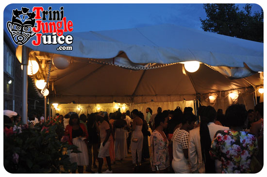 sugarcane_blossom_2014-058