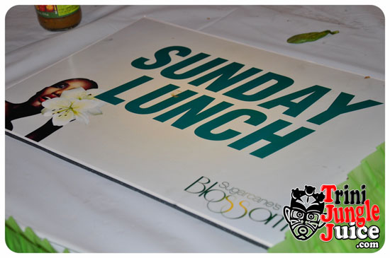 sugarcane_blossom_2014-065