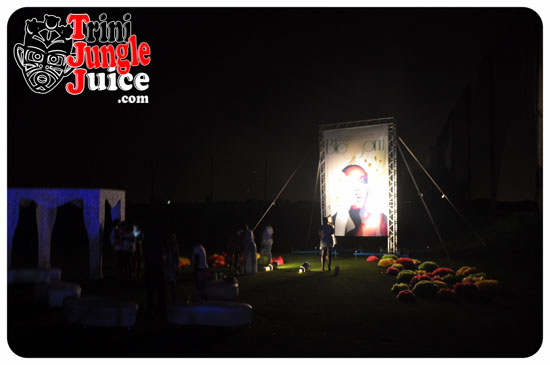 sugarcane_blossom_2014-189