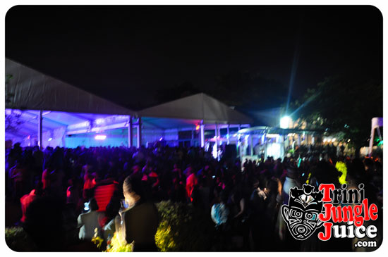 sugarcane_blossom_2014-190