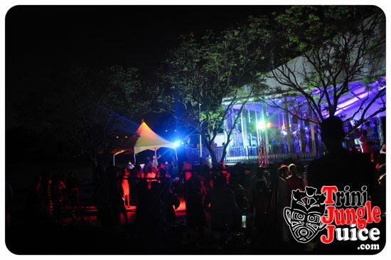 sugarcane_blossom_2014-191