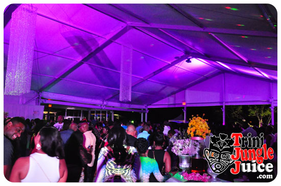 sugarcane_blossom_2014-200