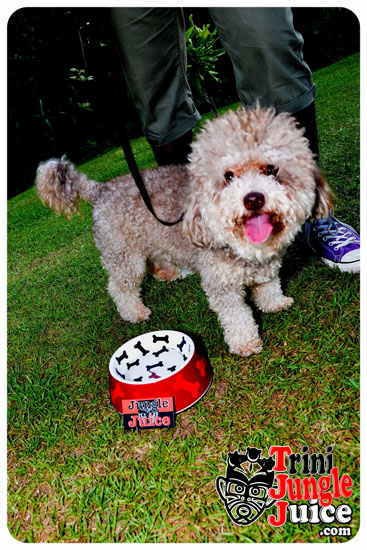 socarama_jun7_pt2-138