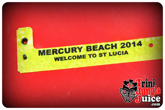 mercury_beach_2014_pt1-024
