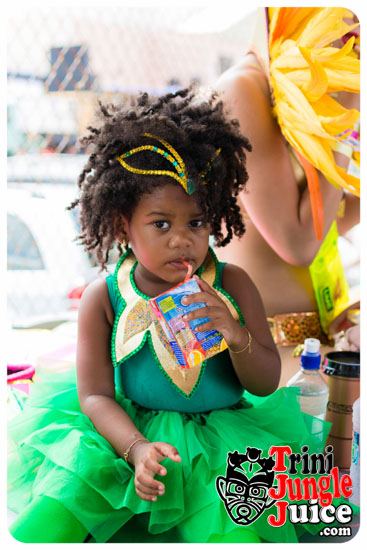 vincy_mas_tuesday_2014-025