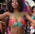 toronto_carnival_parade_2014_pt1-029