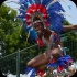 toronto_carnival_parade_2014_pt1-123