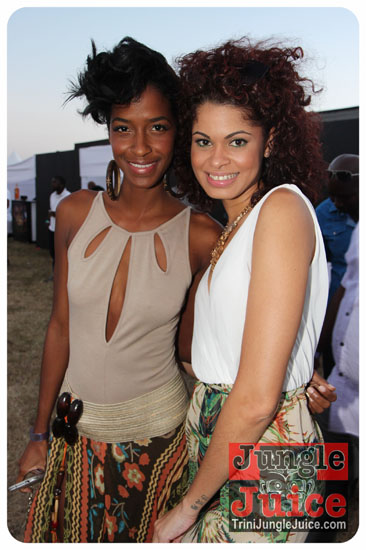 beach_house_carnival_2014-019