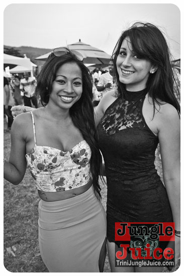 beach_house_carnival_2014-023