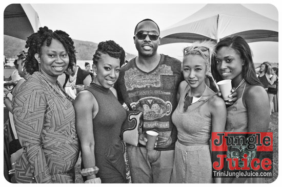 beach_house_carnival_2014-028