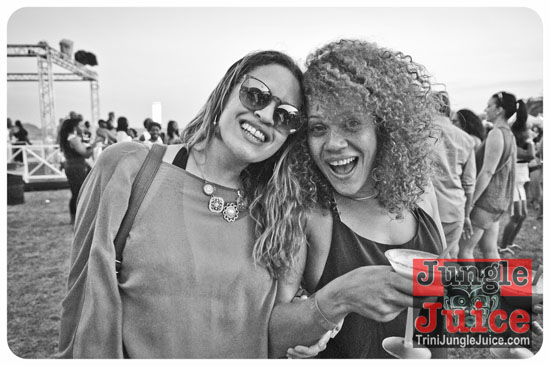 beach_house_carnival_2014-029