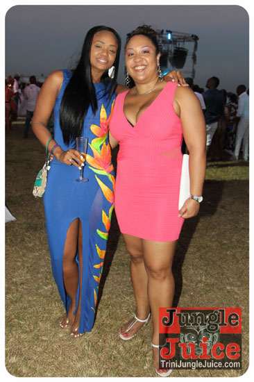 beach_house_carnival_2014-032