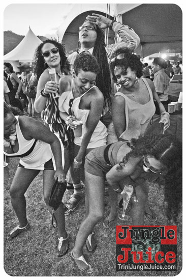 beach_house_carnival_2014-034