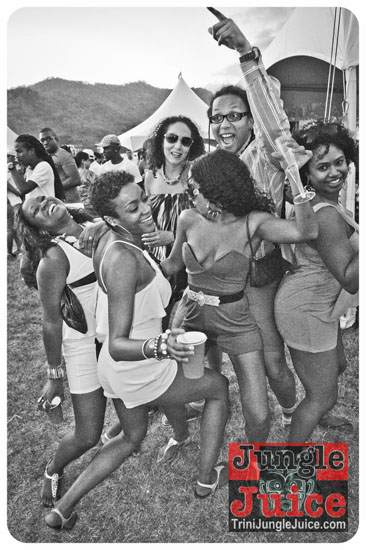 beach_house_carnival_2014-035