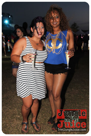 beach_house_carnival_2014-048