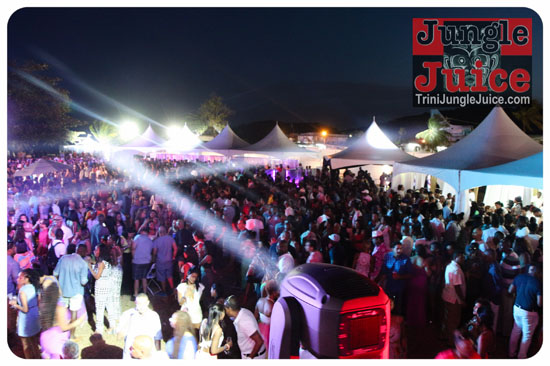 beach_house_carnival_2014-063