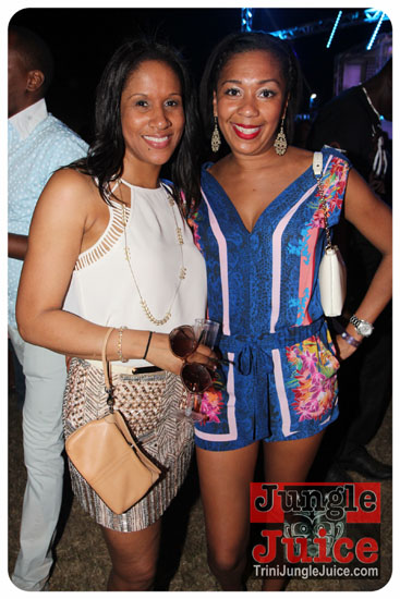 beach_house_carnival_2014-080