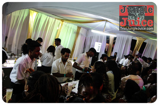 beach_house_carnival_2014-093