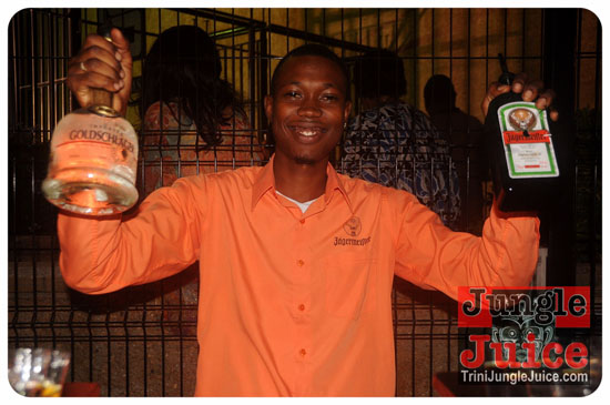 central_bank_all_inclusive_2014-009