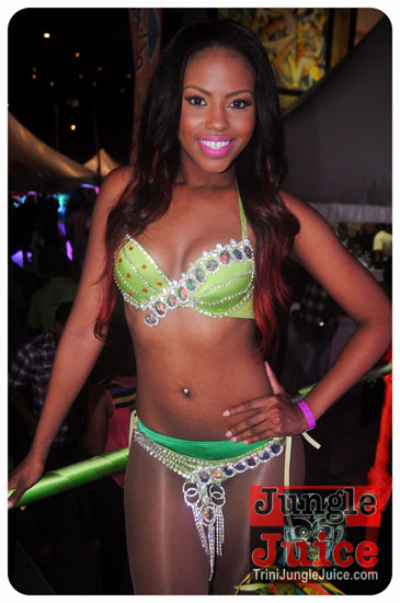 central_bank_all_inclusive_2014-024