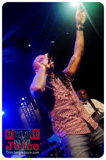 central_bank_all_inclusive_2014-077