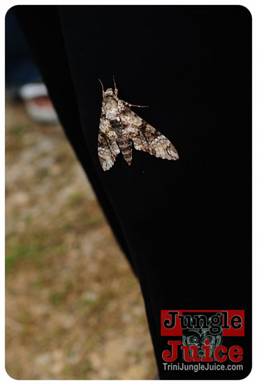 cest_la_vie_2014_pt1-067