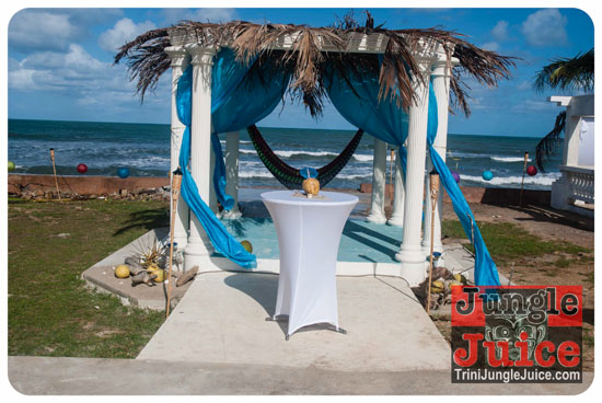 crave_gone_nuts_2014-002