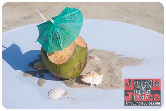 crave_gone_nuts_2014-003