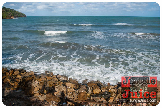 crave_gone_nuts_2014-007