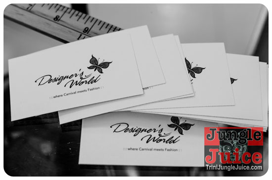 designers_world_launch_feb15-001