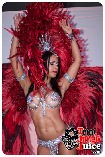 dream_team_2015_band_launch-093