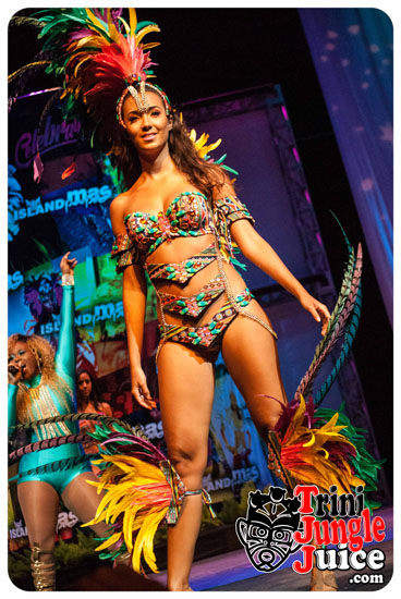 island_people_2015_band_launch-149