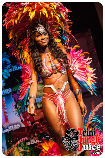 island_people_2015_band_launch-160