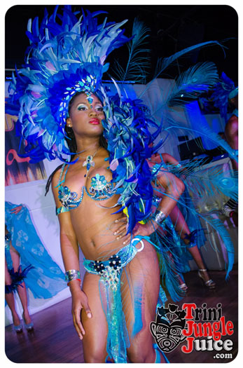 kalicharan_band_launch_2015-066