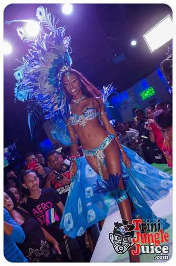 kalicharan_band_launch_2015-067