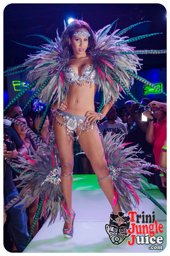 kalicharan_band_launch_2015-081