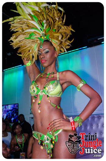 kalicharan_band_launch_2015-090