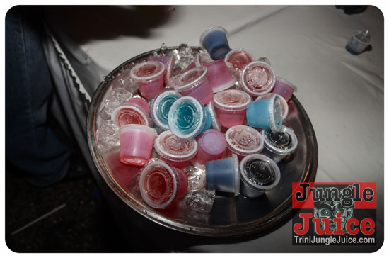 nights_on_broadway_2014_pt2-115