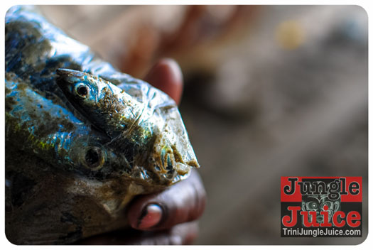 northside_jazz_2014-021