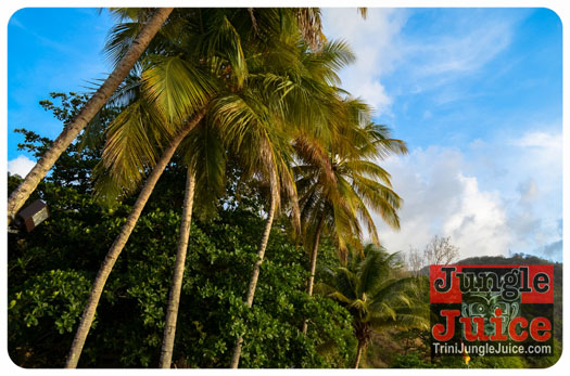 northside_jazz_2014-057