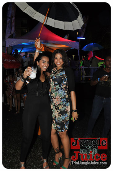 one_fete_2014_pt2-097