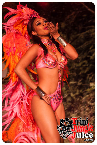 paparazzi_2015_band_launch-034