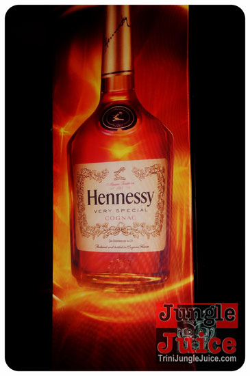 reggae_on_the_bay_2014-001