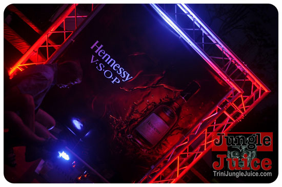 reggae_on_the_bay_2014-006