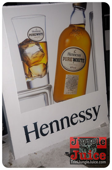 reggae_on_the_bay_2014-007