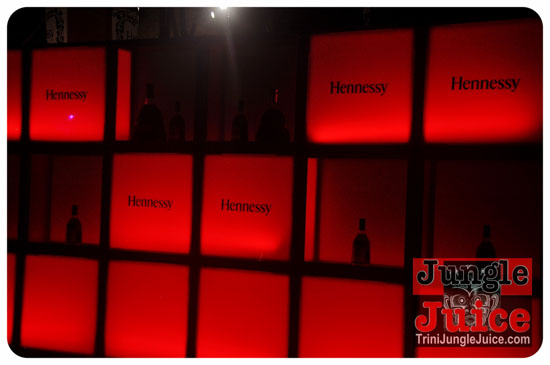 reggae_on_the_bay_2014-008