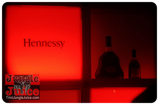 reggae_on_the_bay_2014-035