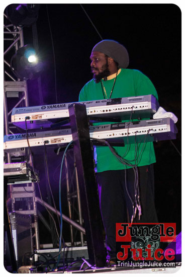reggae_on_the_bay_2014-044